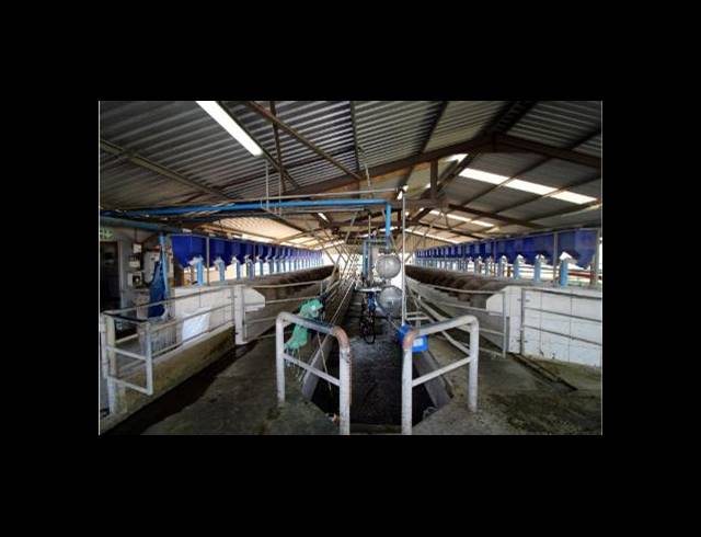 473HA FARM FOR SALE IN EAST LONDON RURAL